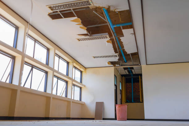 Best Water damage mitigation services  in Glencoe, FL