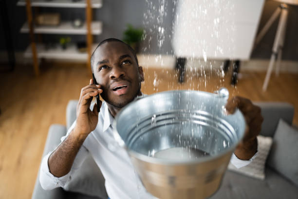 Best 24/7 water damage repair  in Glencoe, FL
