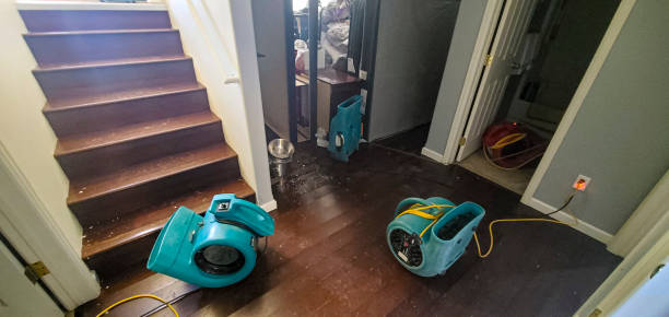 Best Residential water damage restoration  in Glencoe, FL