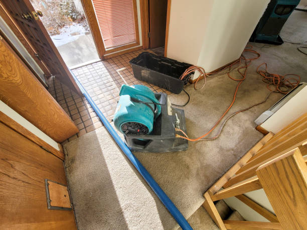 Best Basement water damage restoration  in Glencoe, FL