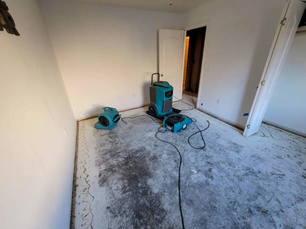Best Fire Damage Restoration  in Glencoe, FL