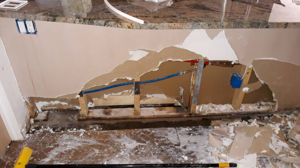 Best Flood damage cleanup  in Glencoe, FL
