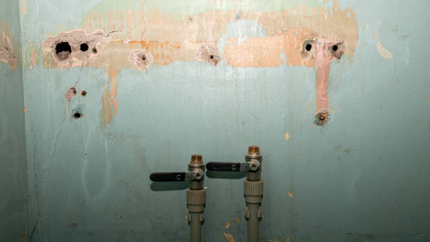 Best Local water damage restoration  in Glencoe, FL