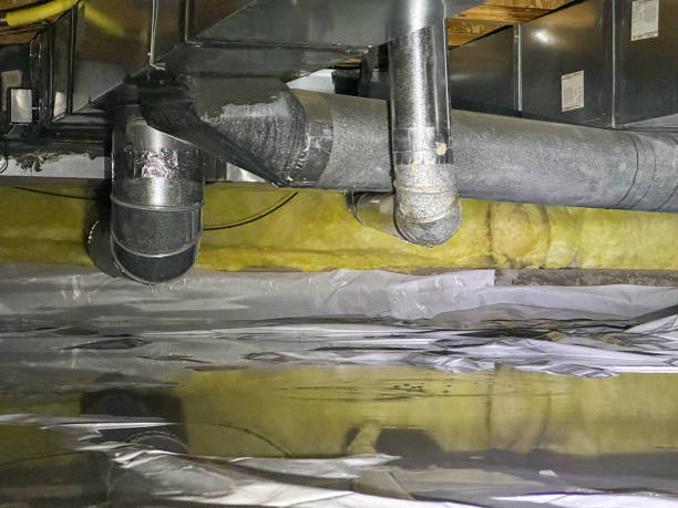 Best Water damage contractors near me  in Glencoe, FL