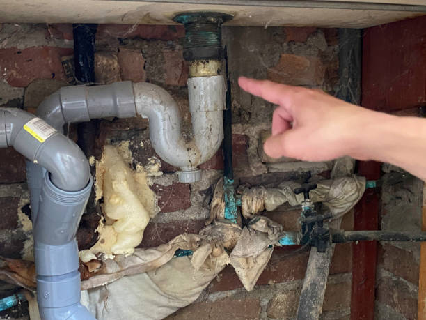 Best Water damage restoration insurance claims  in Glencoe, FL