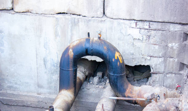 Best Sewage cleanup and water damage restoration  in Glencoe, FL