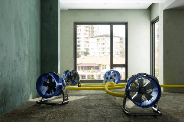 Best Flood restoration services  in Glencoe, FL