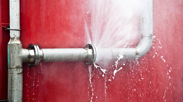Best Water damage cleanup near me  in Glencoe, FL